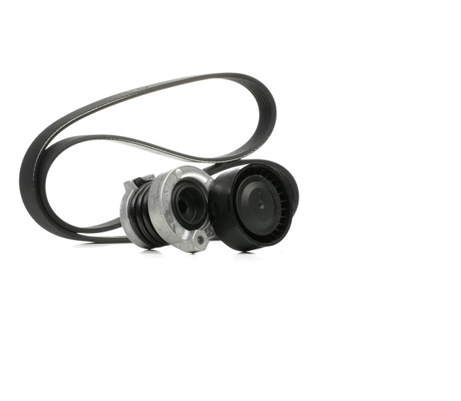 MAIS 117202339R-V KAYIS SETİ RULMAN+KAYIS RENAULT CLIO III 1.5 DCI > 117202339R///-535